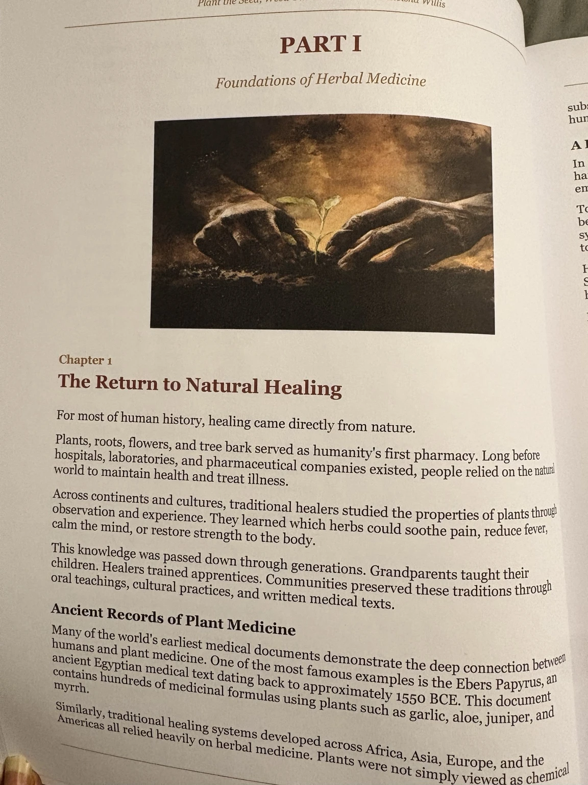 Foundations of Herbal Medicine: The Return to Natural Healing page